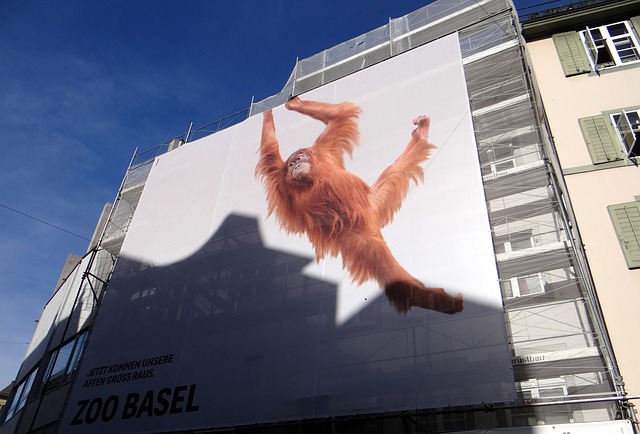 1669633058251012.jpeg 廣告語(yǔ)(1).jpeg